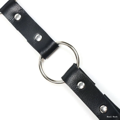 5853 Kinky with Anal Collar EverydayUse and Hook Leash 1211